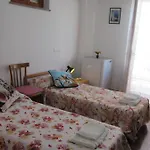 Rosa 3*