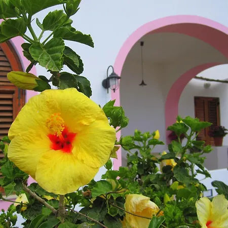 Guest house Rosa Lipari (Isola Lipari)