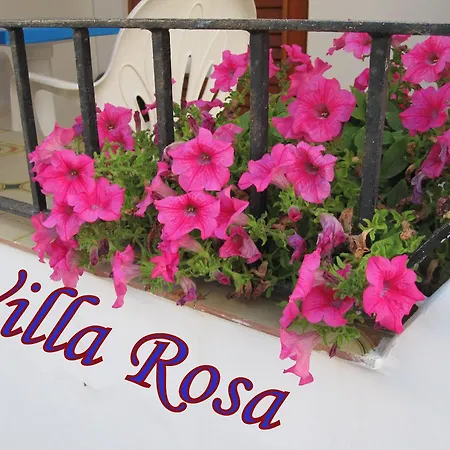 Guest house Rosa *