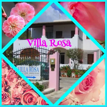 Rosa 게스트하우스